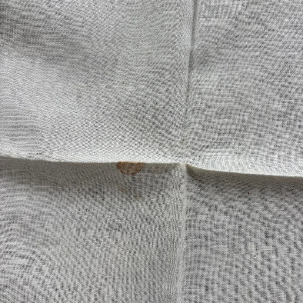 Vintage Embroidered Linen Tablecloth and Napkins Set Floral Blue Trim 5pc